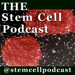 Stem Cell Podcast Logo White Text