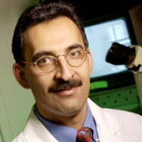 Dr Farshid Guilak