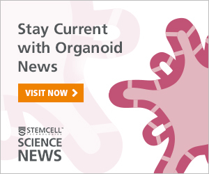 Keep current with the latest in Organoid news.