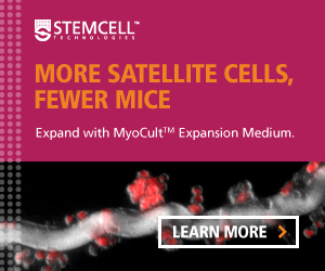 Expand, maintain, and differentiate skeletal muscle progenitor cells with MyoCult™.