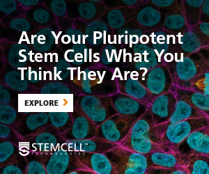 Are Your Pluripotent Stem Cells What You Think They Are? Explore Now.