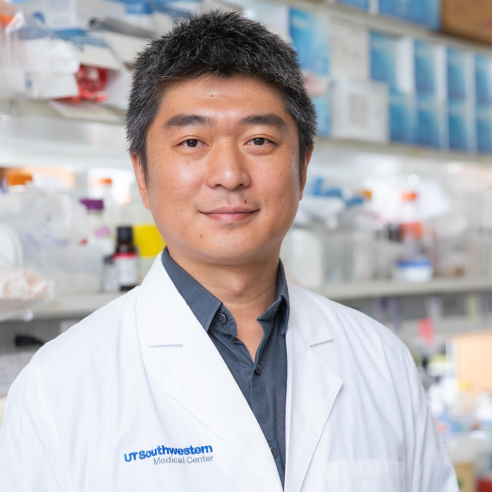 ep-227-interspecies-chimeras-featuring-dr-jun-wu-stem-cell-podcast